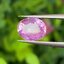 พลอย ชมพู พิ้ง แซฟไฟร์ Pink Sapphire 1.47 กะรัต (Cts.) พลอยแท้ อัญมณีมงคลประจําวันเกิด เครื่องประดับพลอย