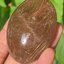 ไหมทอง ควอตซ์ Golden Rutilated Quartz 405 กะรัต (Carats) พลอยแท้ อัญมณีมงคลประจําวันเกิด เครื่องประดับพลอย