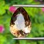 พลอย แชมเปญ โทแพซ Champagne Topaz 11.25 กะรัต พลอยแท้ อัญมณีมงคลประจําวันเกิด เครื่องประดับพลอย