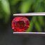 พลอย ทับทิม ซองเจีย Songea Ruby Sapphire 1.63 กะรัต (Cts.) พร้อมใบเซอร์ พลอยแท้ อัญมณีมงคลประจําวันเกิด เครื่องประดับพลอย