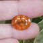 พลอย บุษราคัม yellow sapphire 16.72 กะรัต (Cts.) พร้อมใบเซอร์ พลอยแท้ อัญมณีมงคลประจําวันเกิด เครื่องประดับพลอย