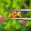 พลอย บุษราคัม Yellow Sapphire 0.98 กะรัต (Cts.) พลอยแท้ อัญมณีมงคลประจําวันเกิด เครื่องประดับพลอย