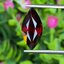 พลอย โกเมน Pyrope - Almandite Garnet 5.50 กะรัต (Cts.) พลอยแท้ อัญมณีมงคลประจําวันเกิด เครื่องประดับพลอย