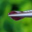 พลอย ทับทิม Ruby sapphire 1.13 กะรัต พลอยแท้ อัญมณีมงคลประจําวันเกิด เครื่องประดับพลอย