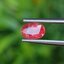 พลอย ชมพู พิ้ง แซฟไฟร์ Pink Sapphire 0.78 กะรัต (Cts.) พลอยแท้ อัญมณีมงคลประจําวันเกิด เครื่องประดับพลอย