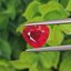 พลอย ทับทิม ซองเจีย Songea Ruby Sapphire 3.80 กะรัต (Cts.) พร้อมใบเซอร์ พลอยแท้ อัญมณีมงคลประจําวันเกิด เครื่องประดับพลอย