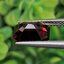 พลอย สปิเนล (Spinel) 2.33 กะรัต (Cts.) ดิบ (Unheated) พลอยแท้ อัญมณีมงคลประจําวันเกิด เครื่องประดับพลอย
