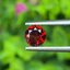 พลอย สเปสซาร์ไทต์ Spessartite Garnet 0.76 กะรัต (Cts.) พลอยแท้ อัญมณีมงคลประจําวันเกิด เครื่องประดับพลอย