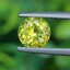 พลอย คริโซเบริล (Chrysoberyl) 1.22 กะรัต (Cts.) พลอยแท้ อัญมณีมงคลประจําวันเกิด เครื่องประดับพลอย