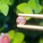 พลอย อเล็กซานไดร์ (Natural Alexandrite Chrysoberyl) เจ้าสามสี 0.44 กะรัต (Cts.) พร้อมใบเซอร์ พลอยแท้ อัญมณีมงคลประจําวันเกิด เครื่องประดับพลอย