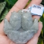หยกแกะสลัก ปลาคู่ หยก พม่า แท้ (Burmese jadeite)