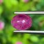 พลอย ทับทิม พม่า (Burmese Ruby Sapphire) 1.56 กะรัต พลอยแท้ อัญมณีมงคลประจําวันเกิด เครื่องประดับพลอย