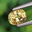 พลอย บุษราคัม yellow sapphire 1.17 กะรัต (Cts.) ดิบ (Unheated) พร้อมใบเซอร์ พลอยแท้ อัญมณีมงคลประจําวันเกิด เครื่องประดับพลอย