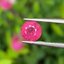 พลอย ชมพู พิ้ง แซฟไฟร์ Pink Sapphire 0.80 กะรัต (Cts.) พลอยแท้ อัญมณีมงคลประจําวันเกิด เครื่องประดับพลอย
