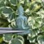 หยก แกะสลัก รูป พระ (Burmese jadeite) 18.9 กะรัต (cts.) หยก พม่า แท้