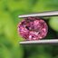 พลอย ทัวร์มารีน (Tourmaline) 1.63 กะรัต (Cts.) อัญมณีมงคลประจําวันเกิด เครื่องประดับพลอย