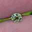 พลอย ดีแมนทรอยด์ การ์เน็ต Demantoid Garnet 0.56 Cts. ดิบ Unheated พลอยแท้ อัญมณีมงคลประจําวันเกิด เครื่องประดับพลอย