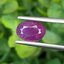 พลอย ทับทิม สยาม (Siam Ruby Sapphire) 1.97 กะรัต (Cts.) พร้อมใบเซอร์ พลอยแท้ อัญมณีมงคลประจําวันเกิด เครื่องประดับพลอย