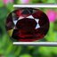 พลอย โกเมน Pyrope - Almandite Garnet 9.69 กะรัต (Cts.) พลอยแท้ อัญมณีมงคลประจําวันเกิด เครื่องประดับพลอย