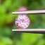 พลอย ชมพู พิ้ง แซฟไฟร์ Pink Sapphire 0.39 กะรัต (Cts.) พลอยแท้ อัญมณีมงคลประจําวันเกิด เครื่องประดับพลอย