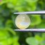 พลอย ตาแมว คริโซเบริล Cat eye Chrysoberyl 1.45 กะรัต (Cts.)