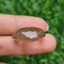 โป่งข่าม ควอตซ์ Rutilated Quartz 32.49 กะรัต Cts. พลอยแท้ อัญมณีมงคลประจําวันเกิด เครื่องประดับพลอย