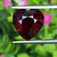 พลอย โกเมน Pyrope - Almandite Garnet 8.73 กะรัต (Cts.) พลอยแท้ อัญมณีมงคลประจําวันเกิด เครื่องประดับพลอย
