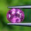 พลอย ชมพู พิ้ง แซฟไฟร์ Pink Sapphire 1.09 กะรัต (Cts.) พลอยแท้ อัญมณีมงคลประจําวันเกิด เครื่องประดับพลอย