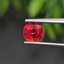 พลอย ทับทิม ซองเจีย Songea Ruby Sapphire 1.04 กะรัต (Cts.) พร้อมใบเซอร์ พลอยแท้ อัญมณีมงคลประจําวันเกิด เครื่องประดับพลอย