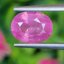 พลอย ชมพู พิ้ง แซฟไฟร์ Pink Sapphire 2.55 กะรัต (Cts.) พลอยแท้ อัญมณีมงคลประจําวันเกิด เครื่องประดับพลอย