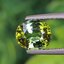 พลอย ทัวร์มาลีน Tourmaline 1.41 กะรัต (Cts.) พลอยแท้อัญมณีมงคล ประจําวันเกิด เครื่องประดับพลอย