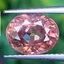 พลอย เพทาย Natural Zircon 3.19 กะรัต (Cts.) พลอยแท้อัญมณีมงคล ประจําวันเกิด เครื่องประดับพลอย