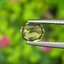 พลอย บุษราคัม (yellow sapphire) 1.25 กะรัต (Cts.) ดิบ (Unheated) พลอยแท้ อัญมณีมงคลประจําวันเกิด เครื่องประดับพลอย