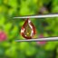 พลอย บุษราคัม Yellow Sapphire 0.99 กะรัต (Cts.) พลอยแท้ อัญมณีมงคลประจําวันเกิด เครื่องประดับพลอย