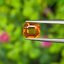 พลอย บุษราคัม Yellow Sapphire 1.03 กะรัต (Cts.) พลอยแท้ อัญมณีมงคลประจําวันเกิด เครื่องประดับพลอย
