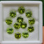 พลอย เพอริดอต Peridot 11.07 กะรัต (Cts.) 12 เม็ด (pcs.) พลอยแท้ อัญมณีมงคลประจําวันเกิด เครื่องประดับพลอย