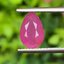 พลอย ทับทิม พม่า (Burmese Ruby Sapphire) 2.78 กะรัต ดิบ (Unheated) พร้อมใบเซอร์ พลอยแท้ อัญมณีมงคลประจําวันเกิด เครื่องประดับพลอย