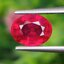 พลอย ทับทิม Ruby sapphire 2.69 กะรัต (Cts.) พลอยแท้ อัญมณีมงคลประจําวันเกิด เครื่องประดับพลอย