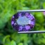 พลอย อเมทิส Amethyst 7.63 กะรัต (Cts.)