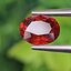 พลอย สเปสซาร์ไทต์ Spessartite Garnet 1.44 กะรัต Cts.พลอยแท้ อัญมณีมงคลประจําวันเกิด เครื่องประดับพลอย