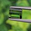 พลอย กรีน ทัวร์มารีน (Green Tourmaline) 2.15 กะรัต (Cts.) อัญมณีมงคลประจําวันเกิด เครื่องประดับพลอย