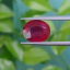 พลอย ทับทิม Ruby sapphire 4.00 กะรัต (Cts.) VS พลอยแท้ อัญมณีมงคลประจําวันเกิด เครื่องประดับพลอย