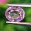พลอย ชมพู พิ้ง แซฟไฟร์ Pink Sapphire 1.68 กะรัต (Cts.) พร้อมใบเซอร์ พลอยแท้ อัญมณีมงคลประจําวันเกิด เครื่องประดับพลอย