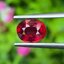 พลอย ทับทิม Ruby sapphire 1.72 กะรัต (Cts.) พลอยแท้ อัญมณีมงคลประจําวันเกิด เครื่องประดับพลอย