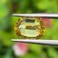 พลอย สฟีน Natural Sphene 1.62 กะรัต (Cts.) ดิบ (Unheated) พลอยแท้ อัญมณีมงคลประจําวันเกิด เครื่องประดับพลอย