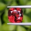 พลอย เพทาย Natural Zircon 5.60 Cts. มีใบเซอร์ พลอยแท้ อัญมณีมงคลประจําวันเกิด เครื่องประดับพลอย