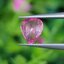 พลอย ชมพู พิ้ง แซฟไฟร์ Pink Sapphire 1.09 กะรัต (Cts.) พลอยแท้ อัญมณีมงคลประจําวันเกิด เครื่องประดับพลอย