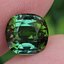พลอย กรีน ทัวร์มารีน (Green Tourmaline) 2.85 กะรัต (Cts.) อัญมณีมงคลประจําวันเกิด เครื่องประดับพลอย