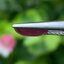 พลอย ทับทิม สยาม Siam Ruby sapphire 1.20 กะรัต (Cts.) พร้อมใบเซอร์ พลอยแท้ อัญมณีมงคลประจําวันเกิด เครื่องประดับพลอย