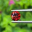 พลอย สเปสซาร์ไทต์ Spessartite Garnet 0.76 กะรัต (Cts.) พลอยแท้ อัญมณีมงคลประจําวันเกิด เครื่องประดับพลอย
